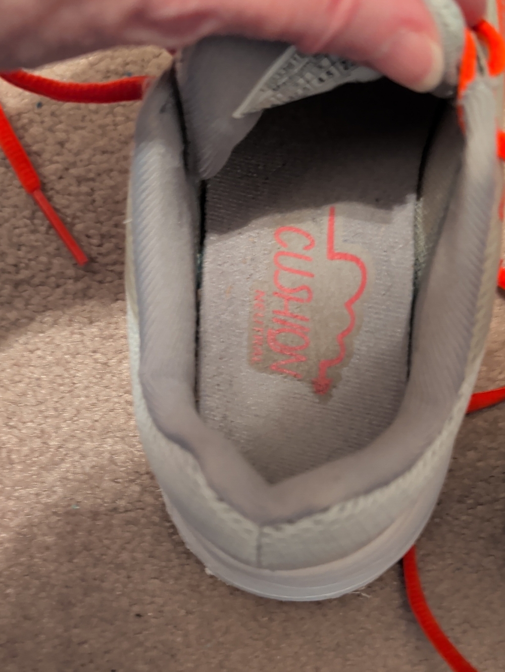 Brooks Range DNA - Picture 6 of 7